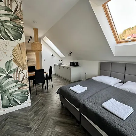 1103 K Istebnej Guest house *