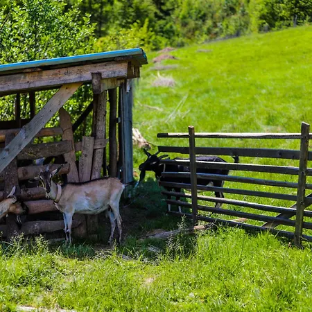 1103 K Istebnej Guest house 3*