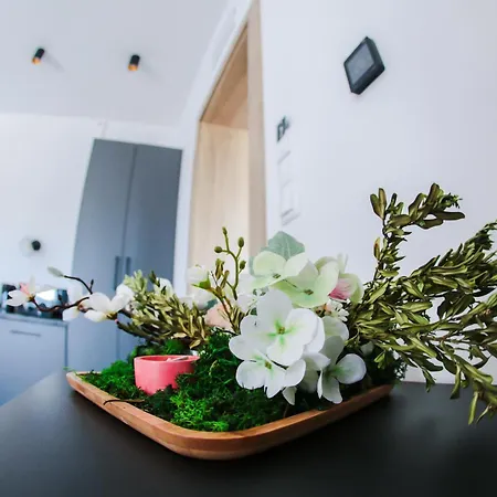 1103 K Istebnej Guest house 3*