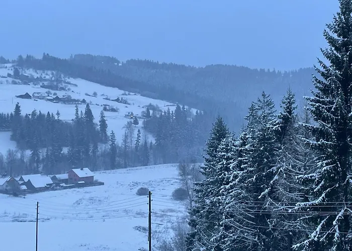 1103 K Istebnej بيت ضيافة 3*