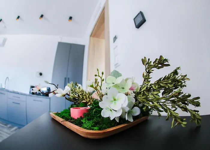 1103 K Istebnej بيت ضيافة 3*